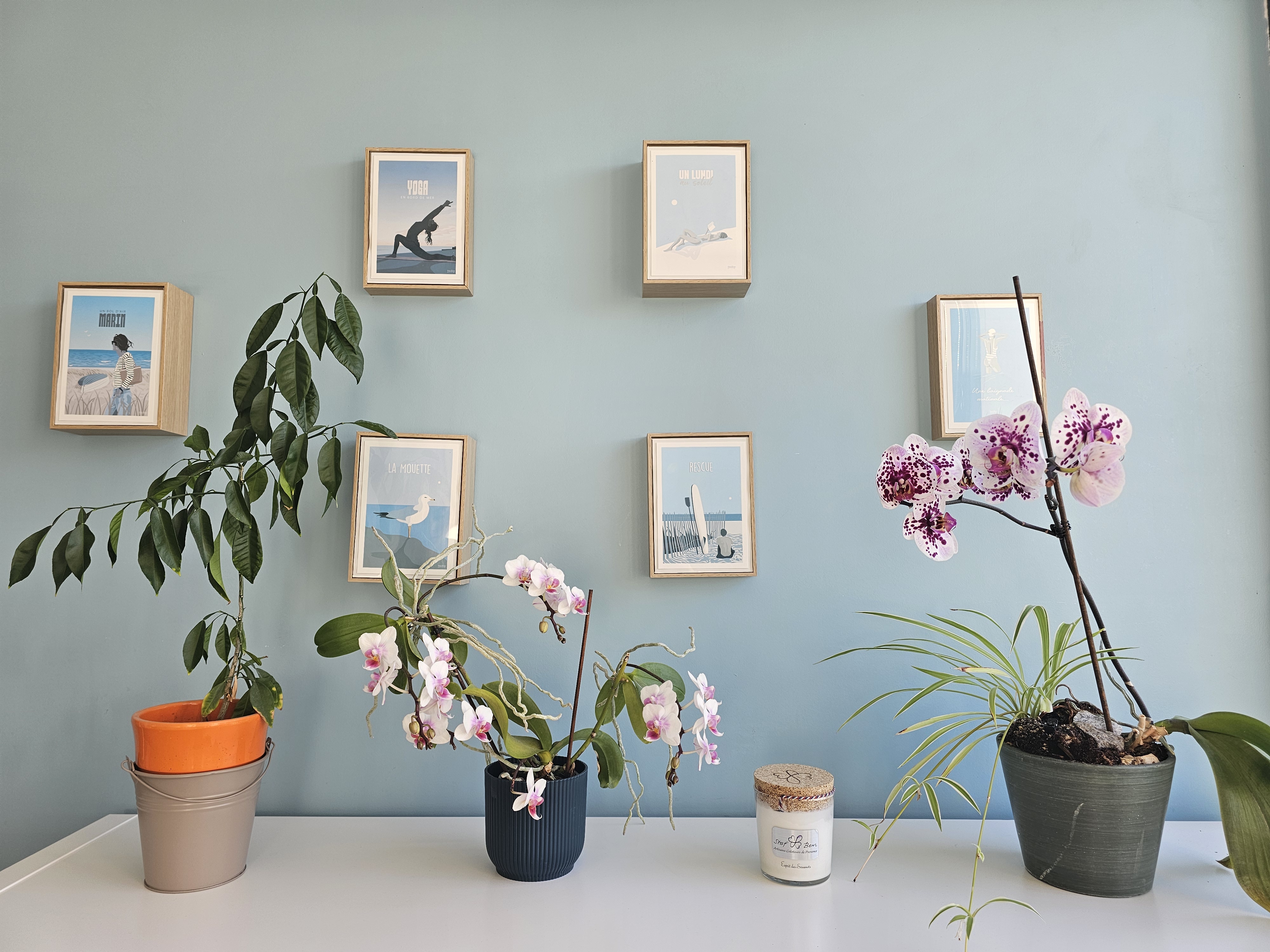 Cabinet de naturopathie Marie-Laure Ebrard à Cestas